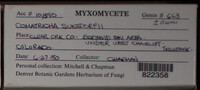 Image Associated With the Occurence